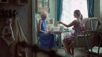 The Shared Apartment (2015-2016)
