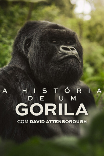 Cena de A História de Um Gorila com David Attenborough