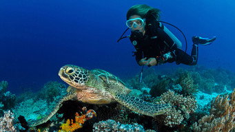 Deep Dive Australia (2023- )