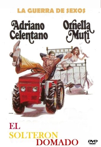 Poster of El solterón domado