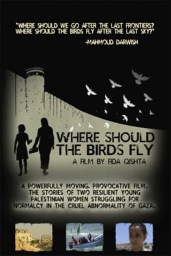 Where Should the Birds Fly? en streaming 