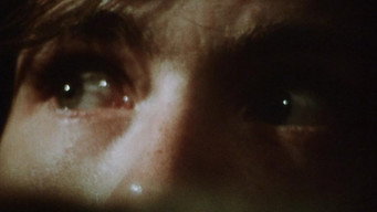 #24 Martin