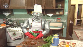 Iyi Aile Robotu (2004-2003)