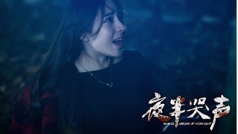Who is Crying at Midnight (2016)