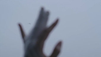 #15 Танець пелюсток