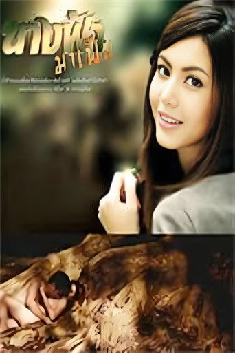 เรือนนางคอย poster