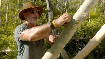 Bushcraft Build-Off (2017- )