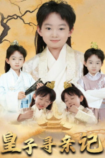 皇子寻亲记 poster