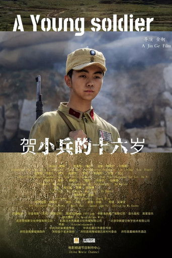 贺小兵的十六岁 (2018年)のポスター画像 - FindKey