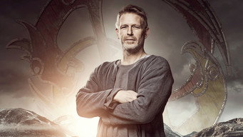 Den siste viking (2014)
