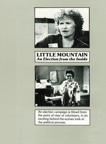 Little Mountain: An Election from the Inside (1984)