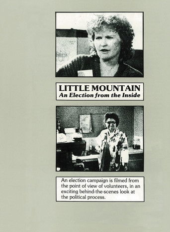 Little Mountain: An Election from the Inside