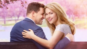 The Perfect Bride (2017)