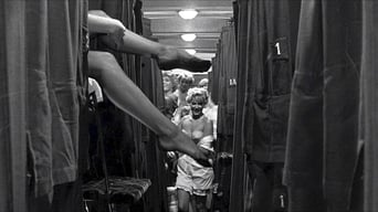 Galeria 5 - Con faldas y a lo loco