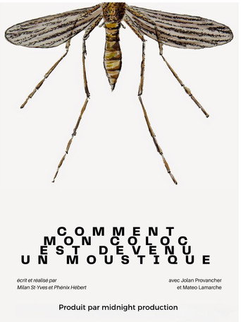 Comment mon coloc est devenu un moustique (2026)