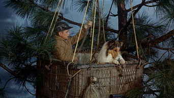 Велика пригода Лессі (1963)