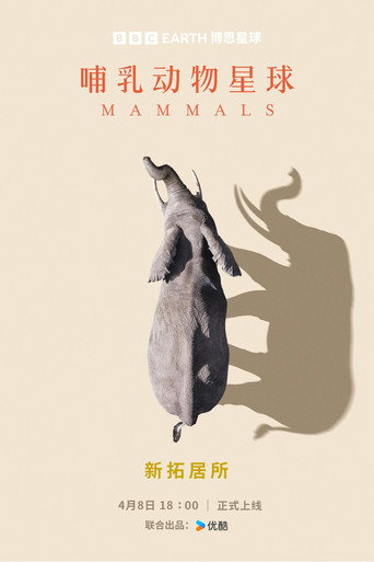 Mamíferos — Pôsteres 23