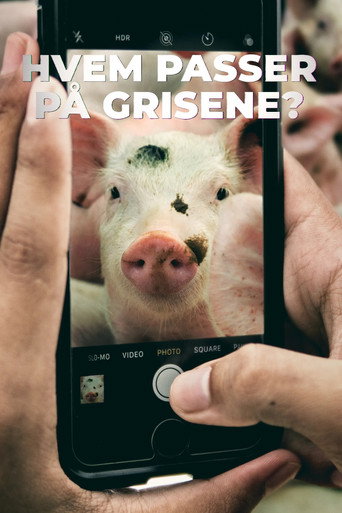 Hvem passer p&aring; grisene? (2024)