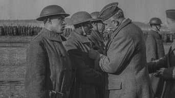 Galeria 1 - The Negro Soldier