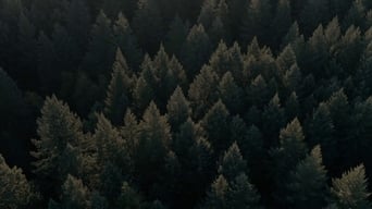 #9 Свиня