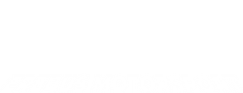 Access All Areas: Erebus Motorsport logo