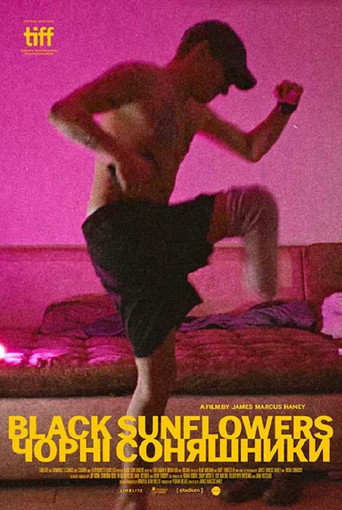 Black Sunflowers