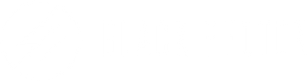 Black Photon