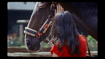#8 Piaffe