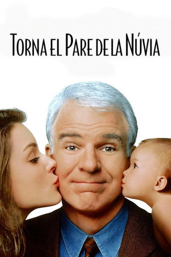 Cartell de Torna el pare de la núvia