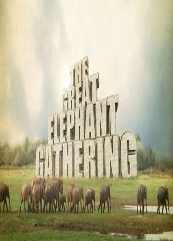 La gran reunión de los elefantes poster
