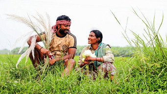 #14 Vaazhai