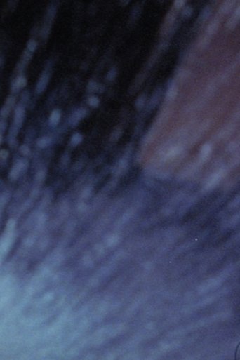 The Following Images Never Happened poster