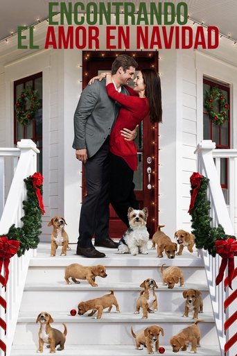 Poster of Encontrando el amor en Navidad