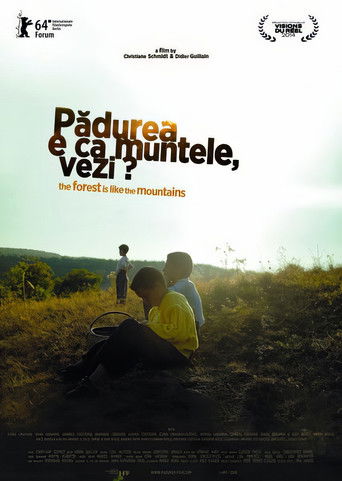 Padurea e ca muntele, vezi?