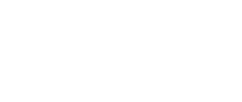 Leap Year logo