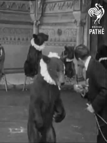 Trained Bears (1894)