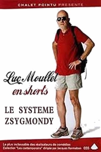 Poster of The Zsigmondy System