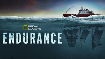 #13 Endurance