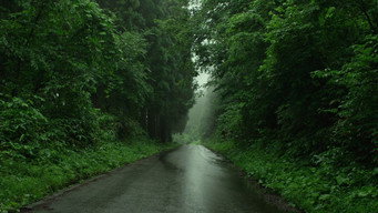 Still 12 from Little Forest: Summer/Autumn