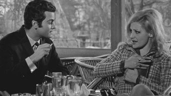 The Wild Pussycat (1969)
