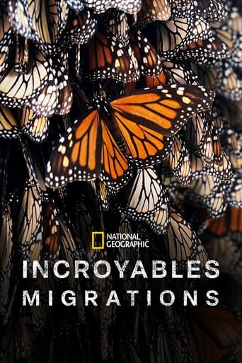 Incroyables migrations en streaming 