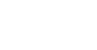 The Wedding Veil Journey logo