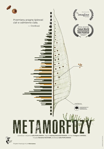 Metamorfozy — Pôsteres 2