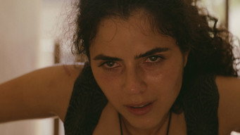 M.I.A.
