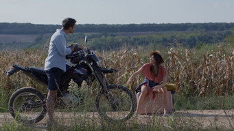 Like Sugar on a Wound (2023)