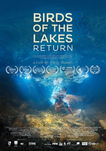 Birds of the Lakes Return (2018) Birds of the Lakes Return (2018)