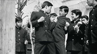 青春前期　青い果実