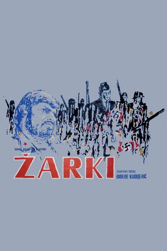 Žarki — Pôsteres 3