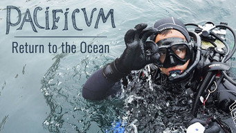 Galeria 4 - Pacificum: El retorno al océano