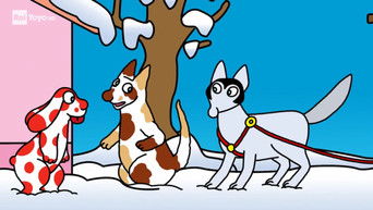 第17話：Il cane da slitta